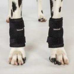 Back On Track Dog Leg Braces (Pair) Back On Track Dog Leg Braces (Pair)